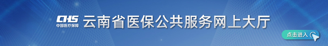 av视频医保公共服务网上大厅