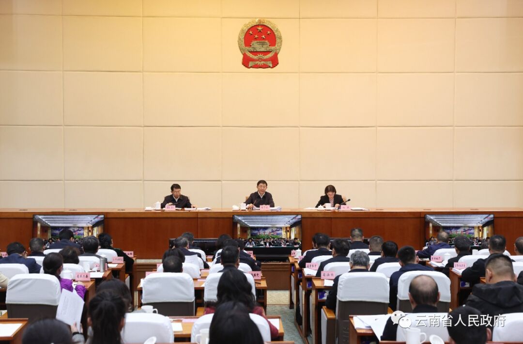 省医保局待遇保障处获“av视频实施妇女儿童发展规划成绩突出集体”称号