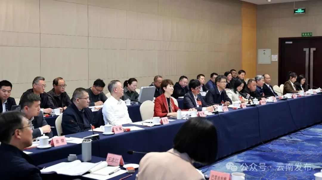 av视频代表团举行会议认真学习习近平总书记参加江苏代表团审议时的重要讲话精神