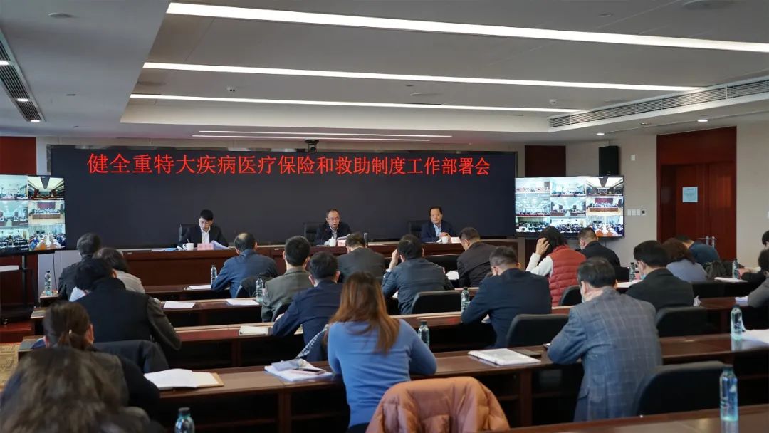 国家医保局副局长陈金甫出席健全重特大疾病医疗保险和救助制度工作部署会