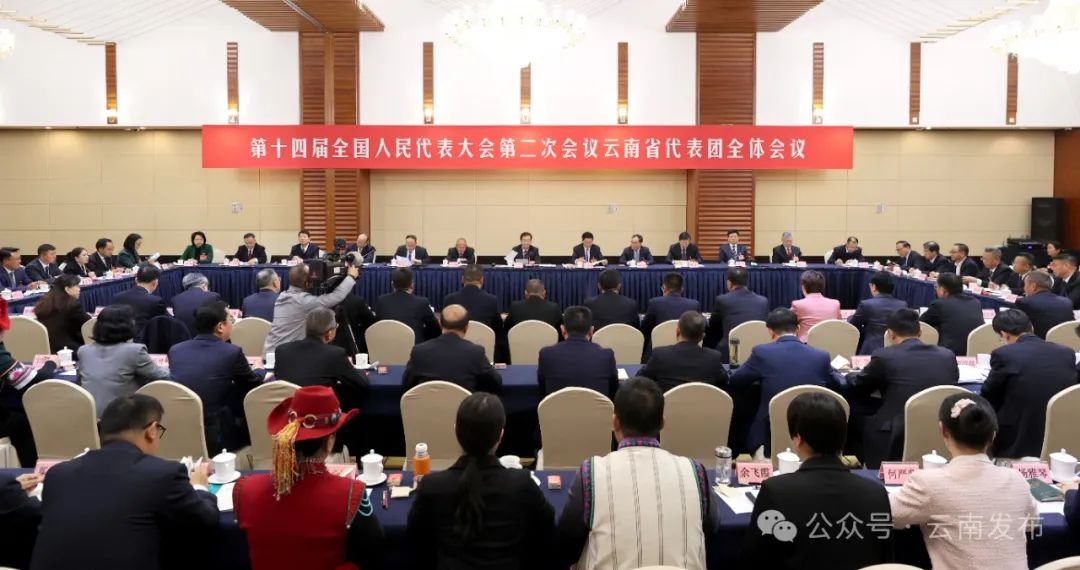 av视频代表团举行全体会议 王宁主持 王予波石玉钢等参加