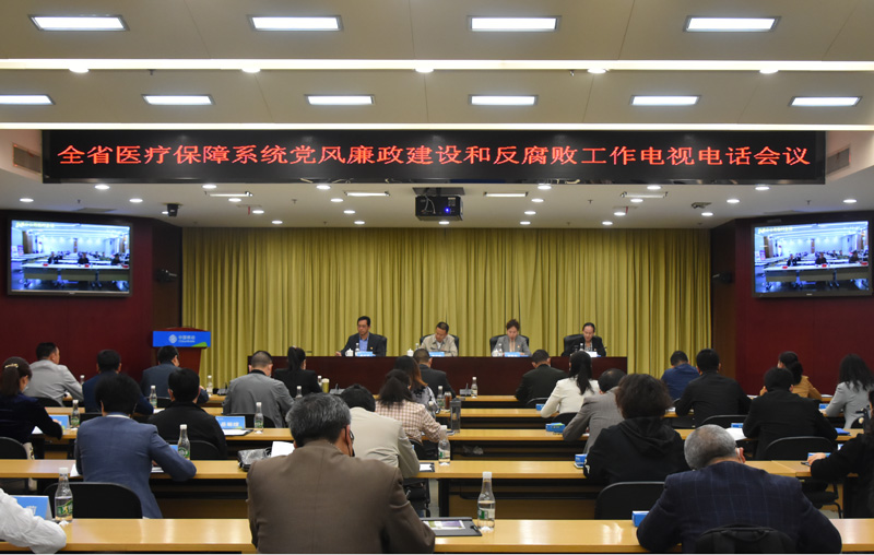 省医疗保障局召开全省医疗保障系统党风廉政建设和反腐败工作电视电话会议