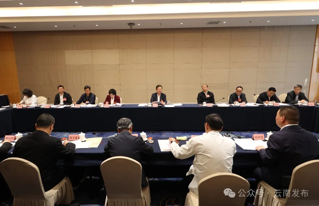 av视频代表团认真传达学习习近平总书记重要讲话精神 审议全国人大常委会工作报告 王宁王予波石玉钢等参加