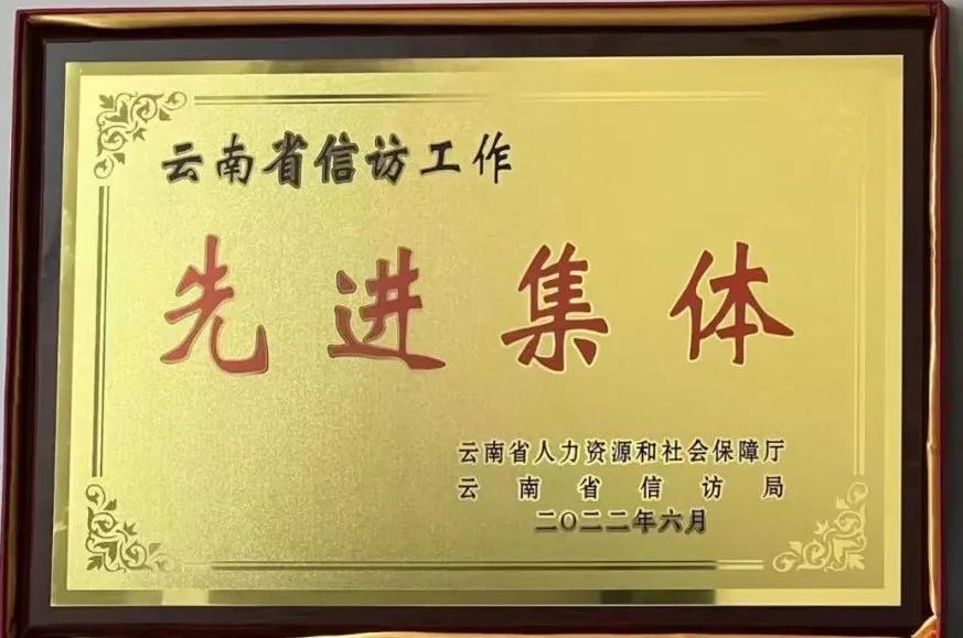 喜讯！省医保局待遇保障处获“av视频信访工作先进集体”称号
