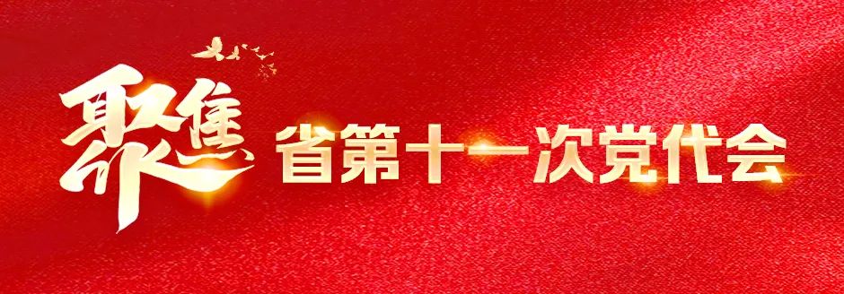 中国共产党av视频第十一次代表大会胜利闭幕 通过关于第十届省委报告的决议和关于第十届省纪委工作报告的决议 王宁主持闭幕大会并讲话