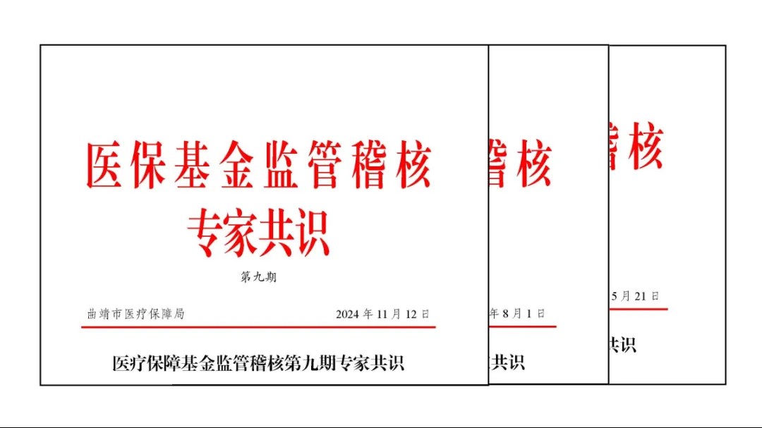 曲靖市举办第十期医保基金监管稽核“专家共识”研讨会